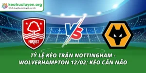 Tỷ lệ kèo trận Nottingham - Wolverhampton 12/02